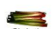 Rhubarbe